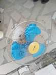 A picture of NAUZ FENI YA JUU MWANAMKE NYONGA INAPGA UPEPO UPANDE MMOJA