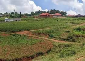 A picture of Cyino cyibaza cyiragurishwa cyiherereye bumbogo musave mulisite
