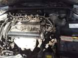 A picture of Carina gt