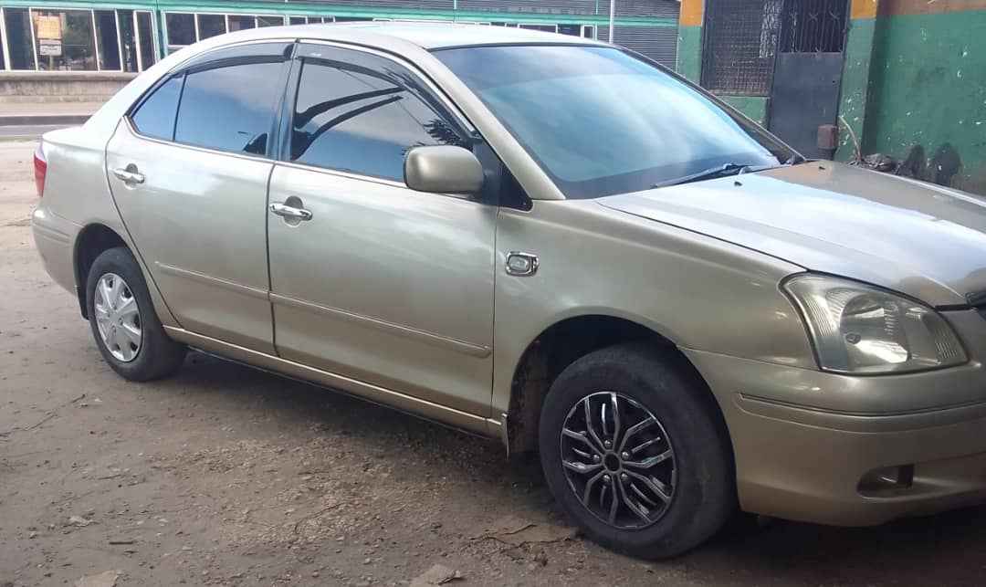 A picture of Premio new model