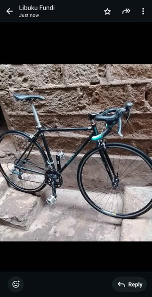 shimano