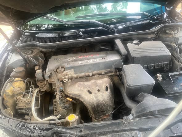 A picture of 2009 Camry muscle