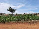 A picture of LAND DEAL IN KIRA NSASA AT UGX56M