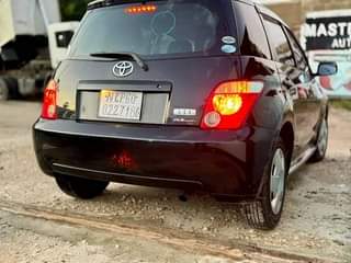 A picture of Gari