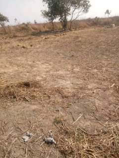 mwembeshi