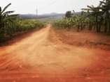 A picture of Land