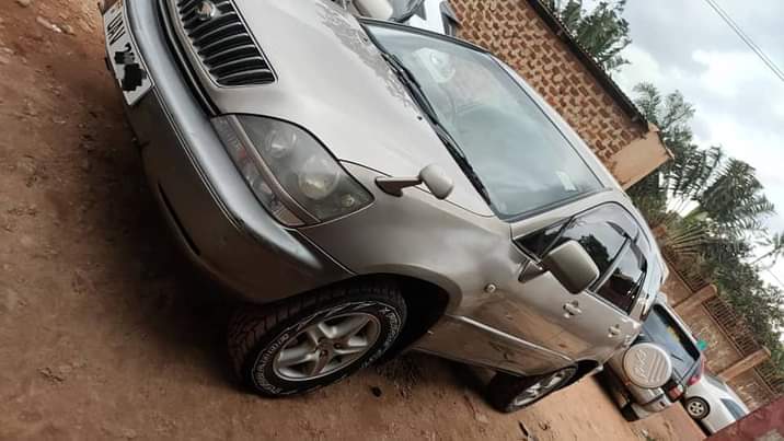 A picture of Harrier 2.2cc 12.7m