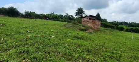 A picture of 0l709106274 0774591471l NAMAYUMBA KING MIClHOAL ESTATE 50X100FT 6MILLION