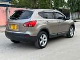 A picture of Nissan Dualis