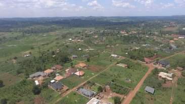 A picture of 50 100 tittled plots on sale