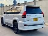 A picture of PRADO 120
