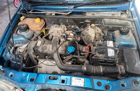 Muhammed F.