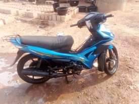 A picture of Tvs ruber ruber