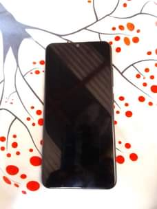 A picture of Vivo 2015