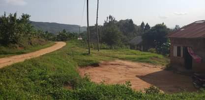 A picture of Bulondo off