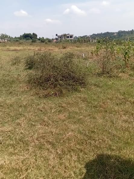 A picture of 5 plots of 100 by 100 at kasangati nangabo