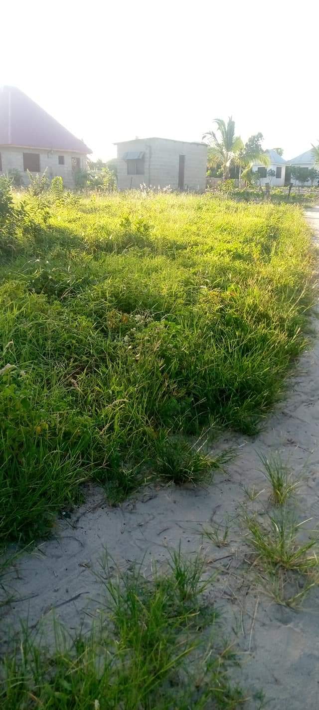 A picture of Kiwanja kinauzwa chanika