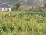 A picture of ALL INSTALLMENTS allowed Plots from 1million Call or wtsup 256752759996