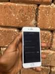 A picture of iPhone 6S