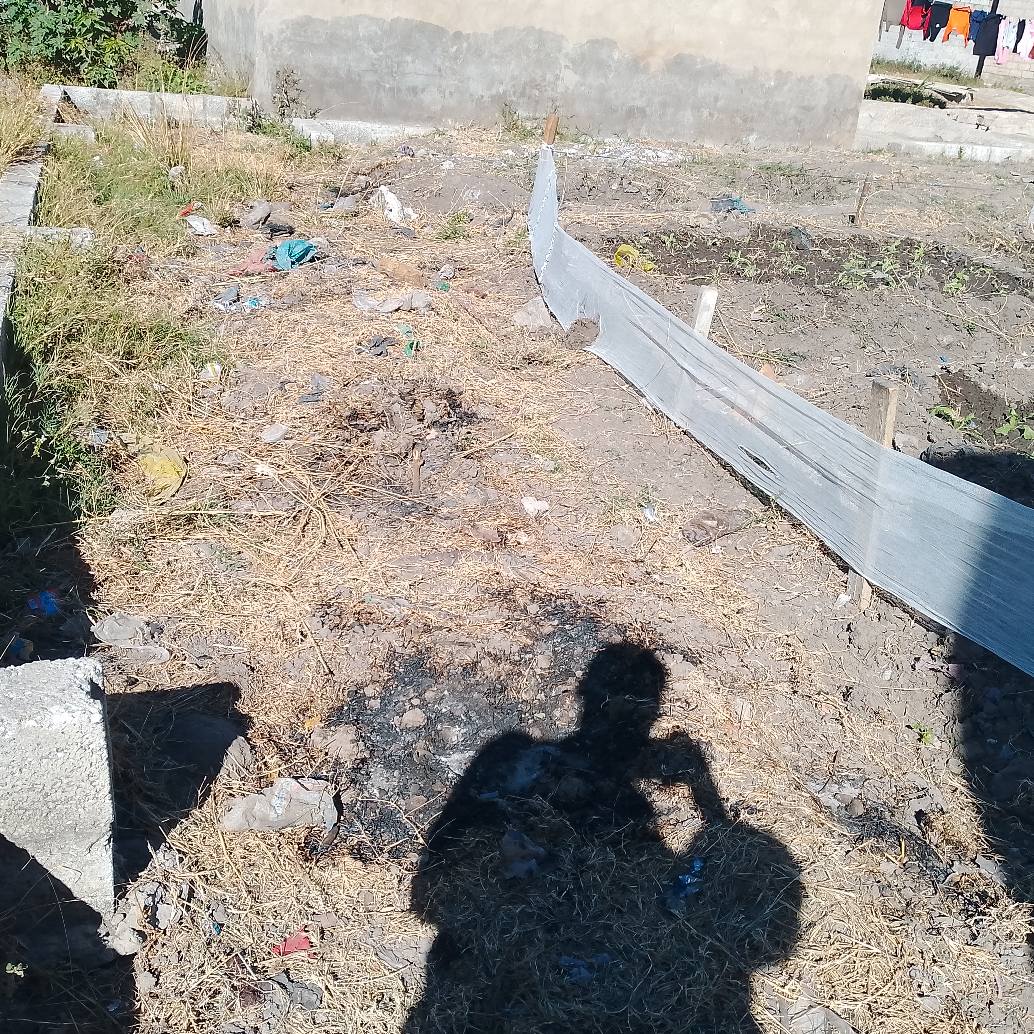 zambia plots