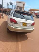 A picture of Harrier ordinary 2 2cc