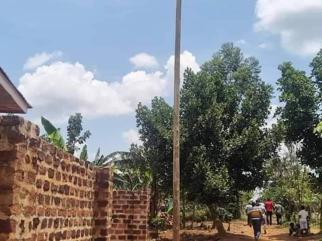 A picture of Jangu nga bwooli