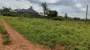 A picture of PLOTS FOR SALE LOCATED WAKISO BUKALANGO