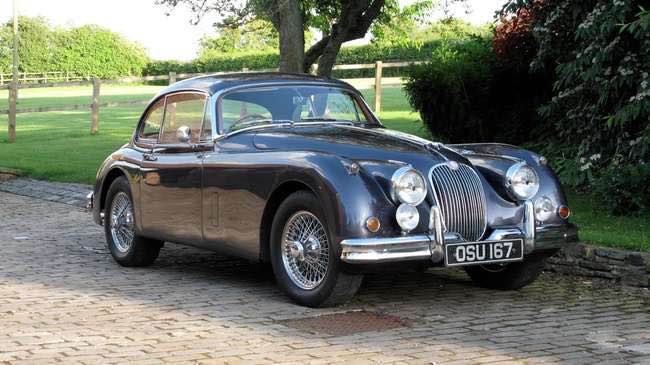 jaguar