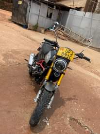 A picture of Simba Sports 300cc