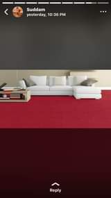 A picture of 256705881025 Woolen carpets wall to wall
