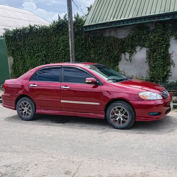 A picture of Toyota corolla