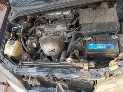 A picture of Registered Toyota picnic