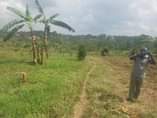 A picture of Land
