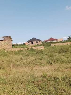 A picture of Plots 8.5m
