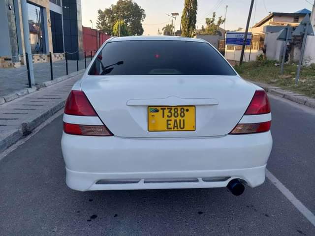 A picture of call 0684900691