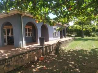 A picture of House
