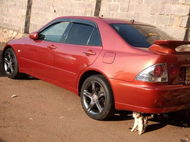 A picture of Aleteza