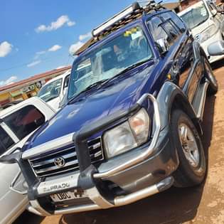 A picture of TX 1998 43M
