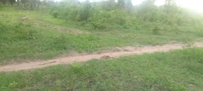 A picture of SHAMBA HEKA 10 LINAUZWA LIPO MZENGA WILAYA YA KISARAWE MKOA