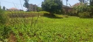 kinyinya accommodation