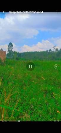 A picture of PLOT