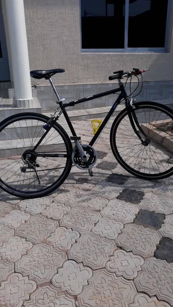 bikes