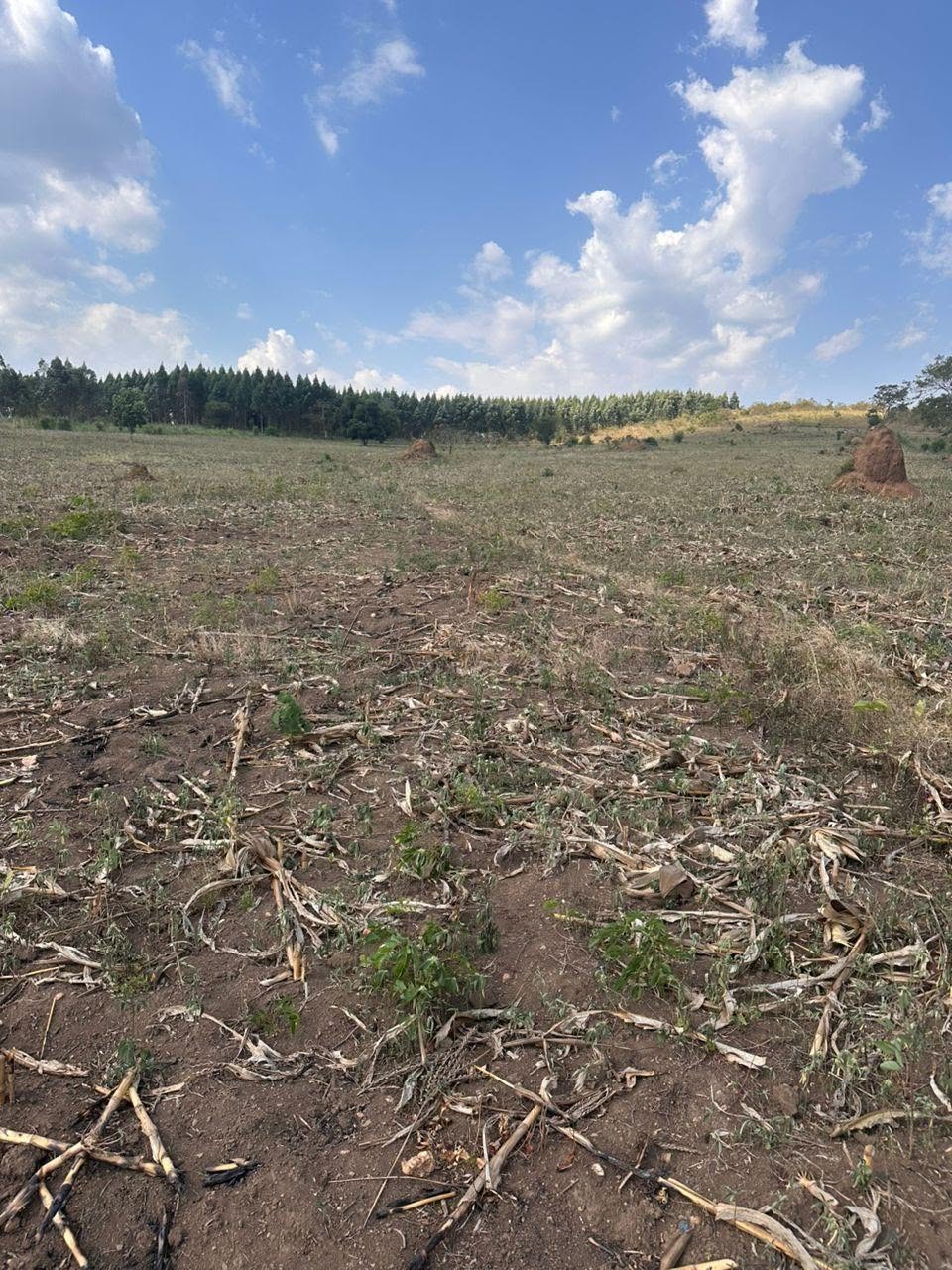 A picture of Acres of Land