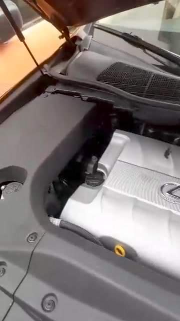 A picture of RX 350 2011 Selling fast Very clean Very Sharp Toks