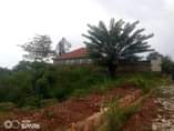 A picture of Quick sale 13 decimals in kira Mamelto road very good