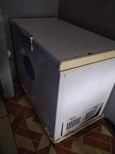 A picture of Friza