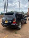 A picture of Subaru forester 2007