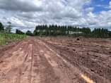 A picture of Cheap plots with titles in kakiri