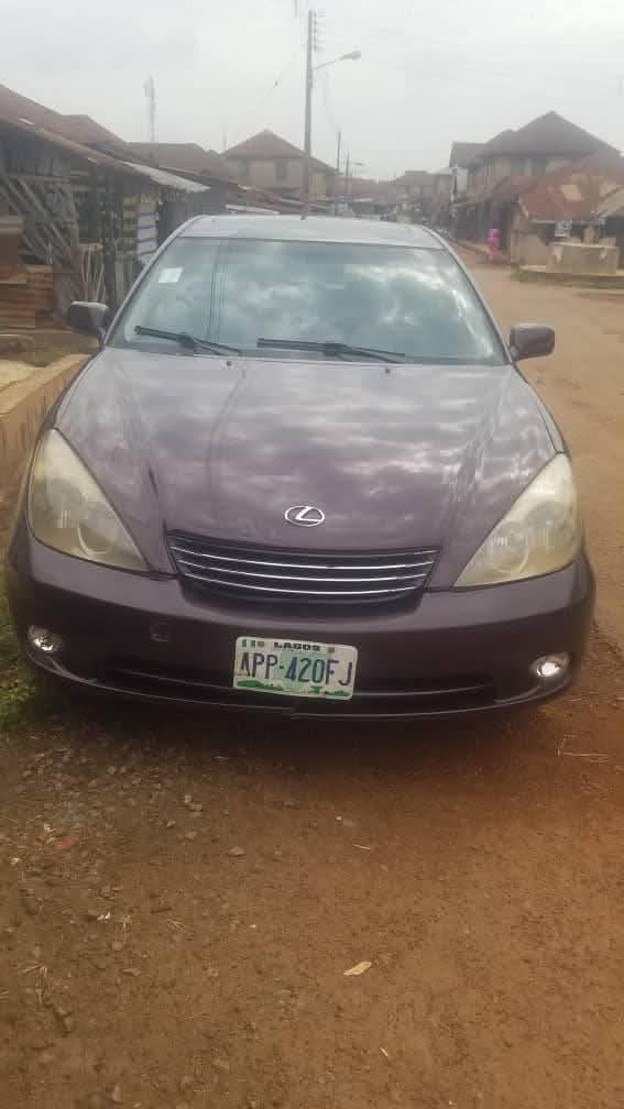A picture of 2004 Lexus 330