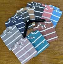 A picture of Tshirt